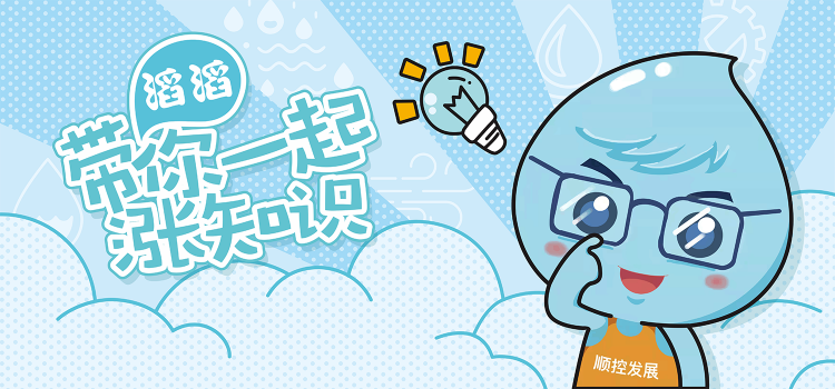 顺控发展